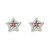 Pendientes plata 1ª Ley estrella con rubí y circonitas