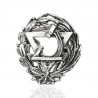 Pin Insignia Optica Plata 1ªLey