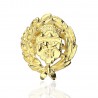 Pin Insignia Veterinaria Oro 18K