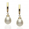Pendientes oro 18K perla cultivada