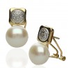 Pendientes Narciso Oro 18K