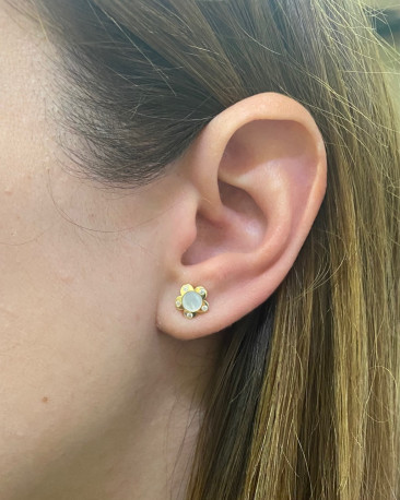 Pendientes ¨Flor¨Oro 18K