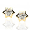 Pendientes ¨Estrella¨Oro 18K circonita