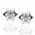 Pendientes ¨Estrella¨Oro blanco circonita