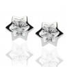 Pendientes ¨Estrella¨Oro blanco circonita
