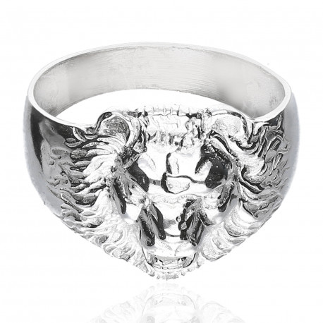 Anillo plata 1ªLey León