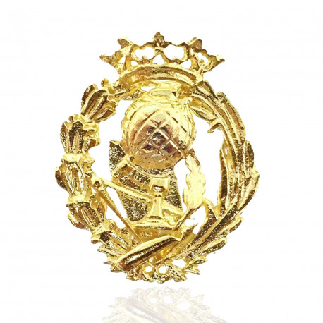 Pin Insignia Magisterio Oro 18Ktes