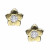 Pendientes plata chapada flor circonita