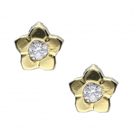 Pendientes plata chapada flor circonita