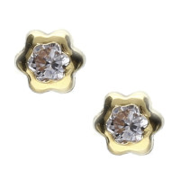 Pendientes plata chapada margarita circonita